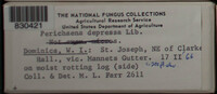 Image Associated With the Occurence